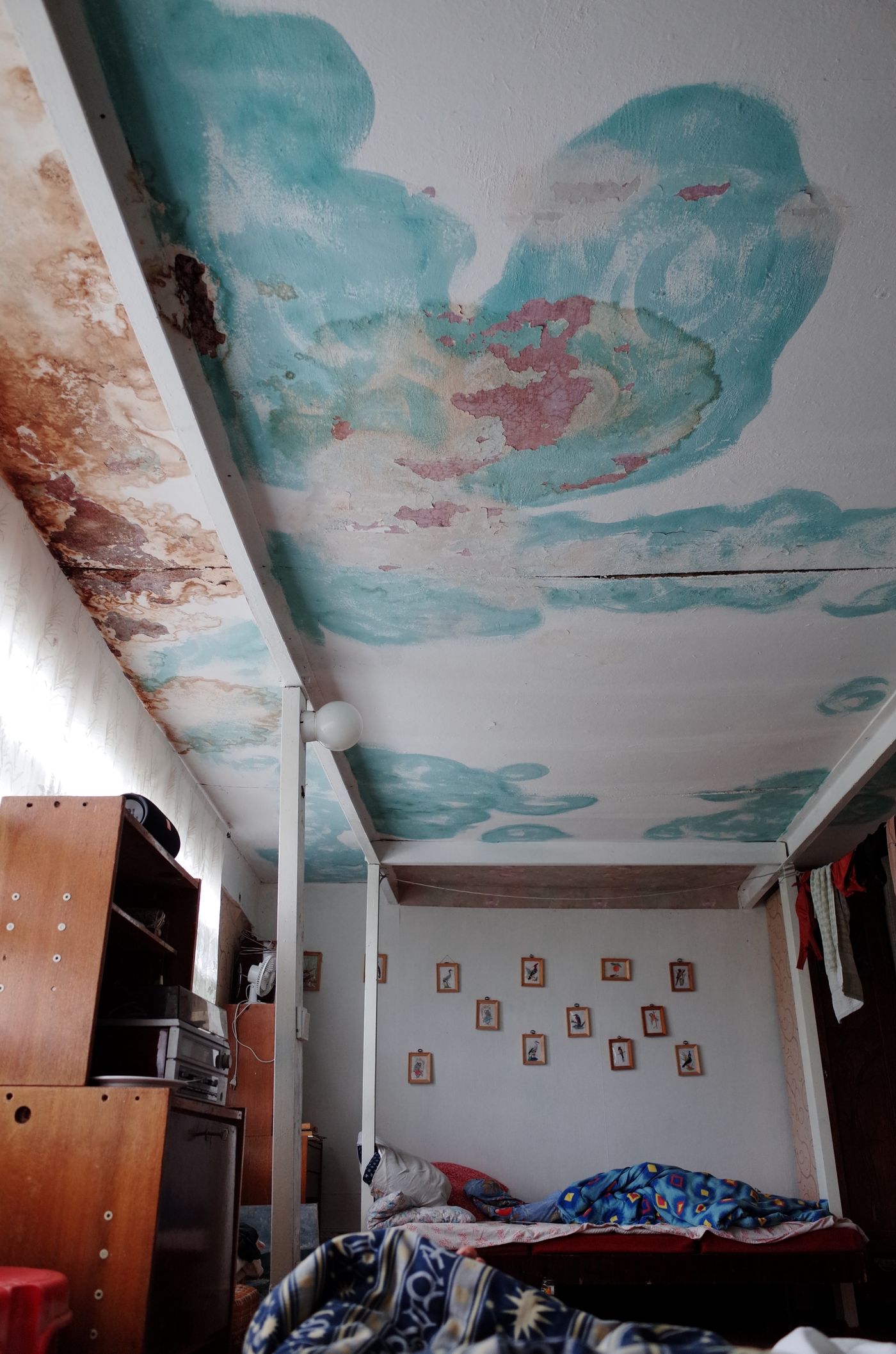 Leak Repair in Dallas, TX